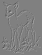 Mosaiques 008